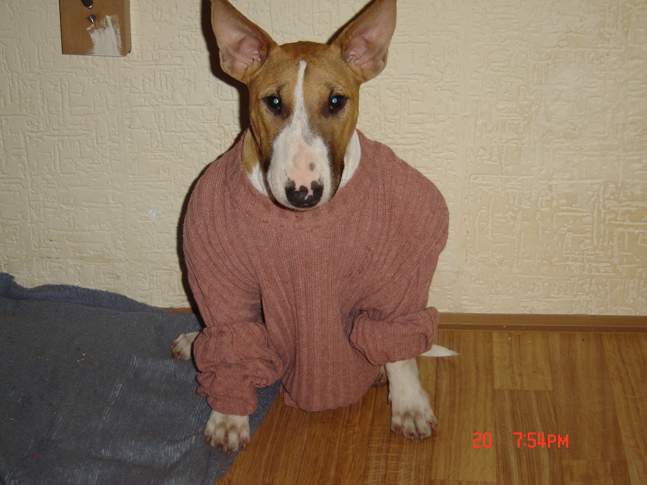 DSC00166