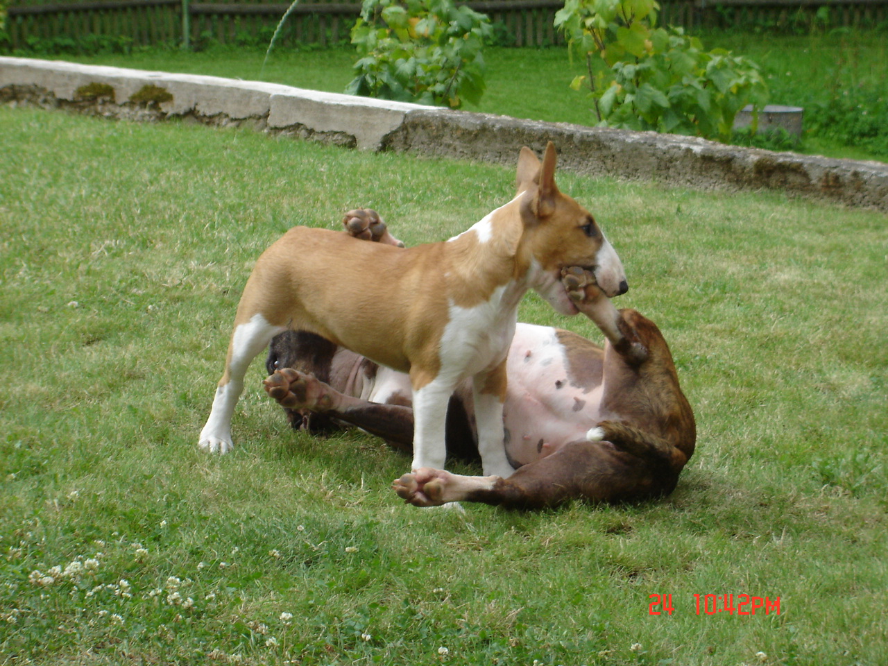 DSC00422